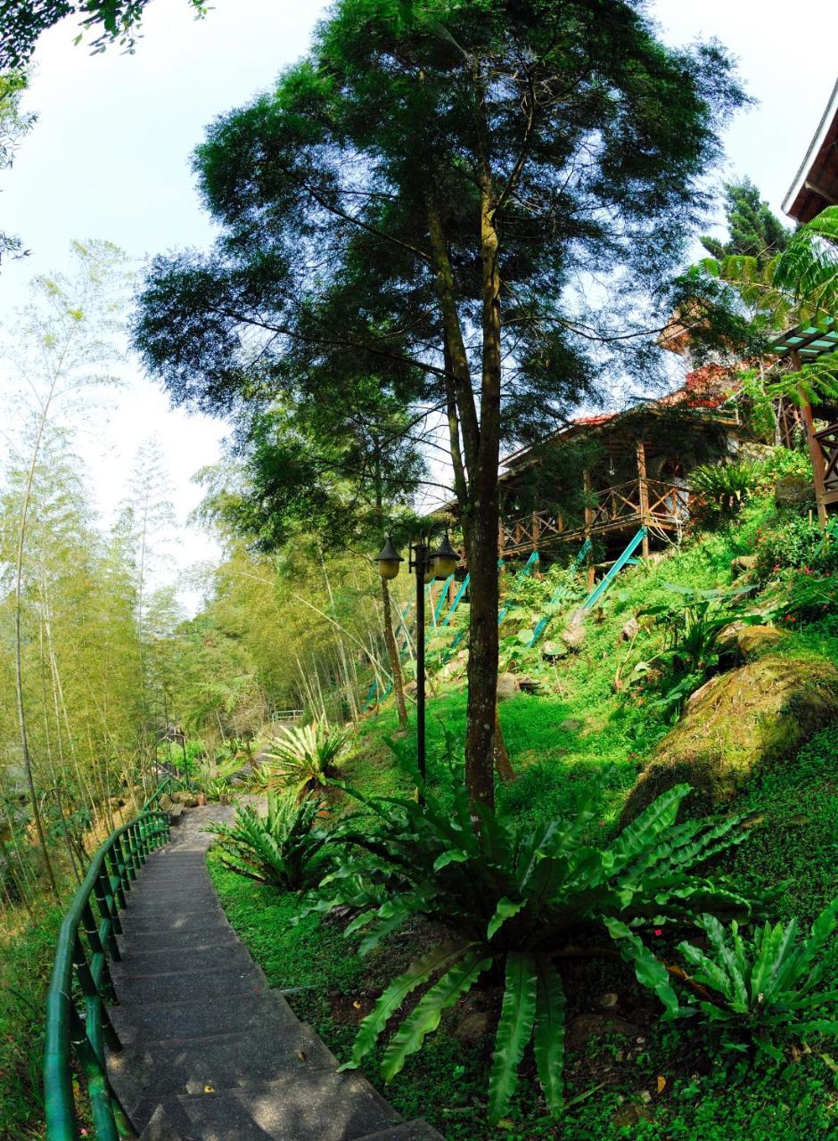 Shinmingshan Holiday Inn Lugu Dış mekan fotoğraf